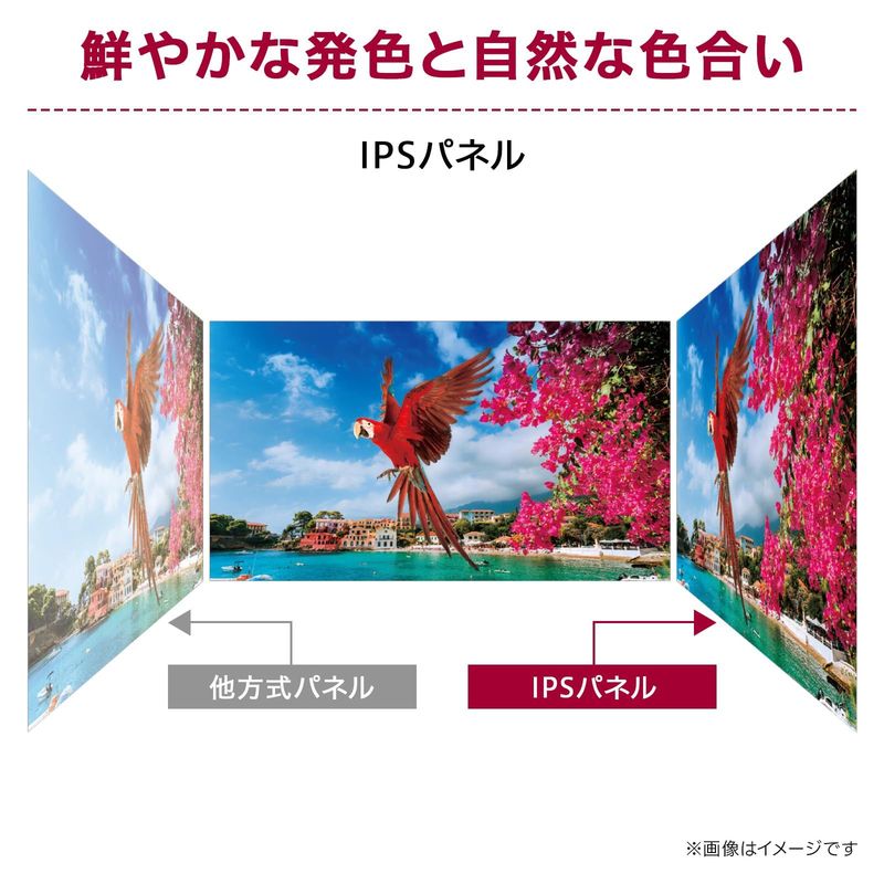 23.8型 フルHD ( 1920×1080 ) ノングレア IPS 100Hz ディスプレイ HDMI USB Type-C 新品 24MS530B-B 【代引き/時間指定不可】 23.8型 フルHD ( 1920×1080 ) ノングレア IPS 100Hz ディスプレイ HDMI USB Type-C 新品 24MS530B-B 【代引き/時間指定不可】