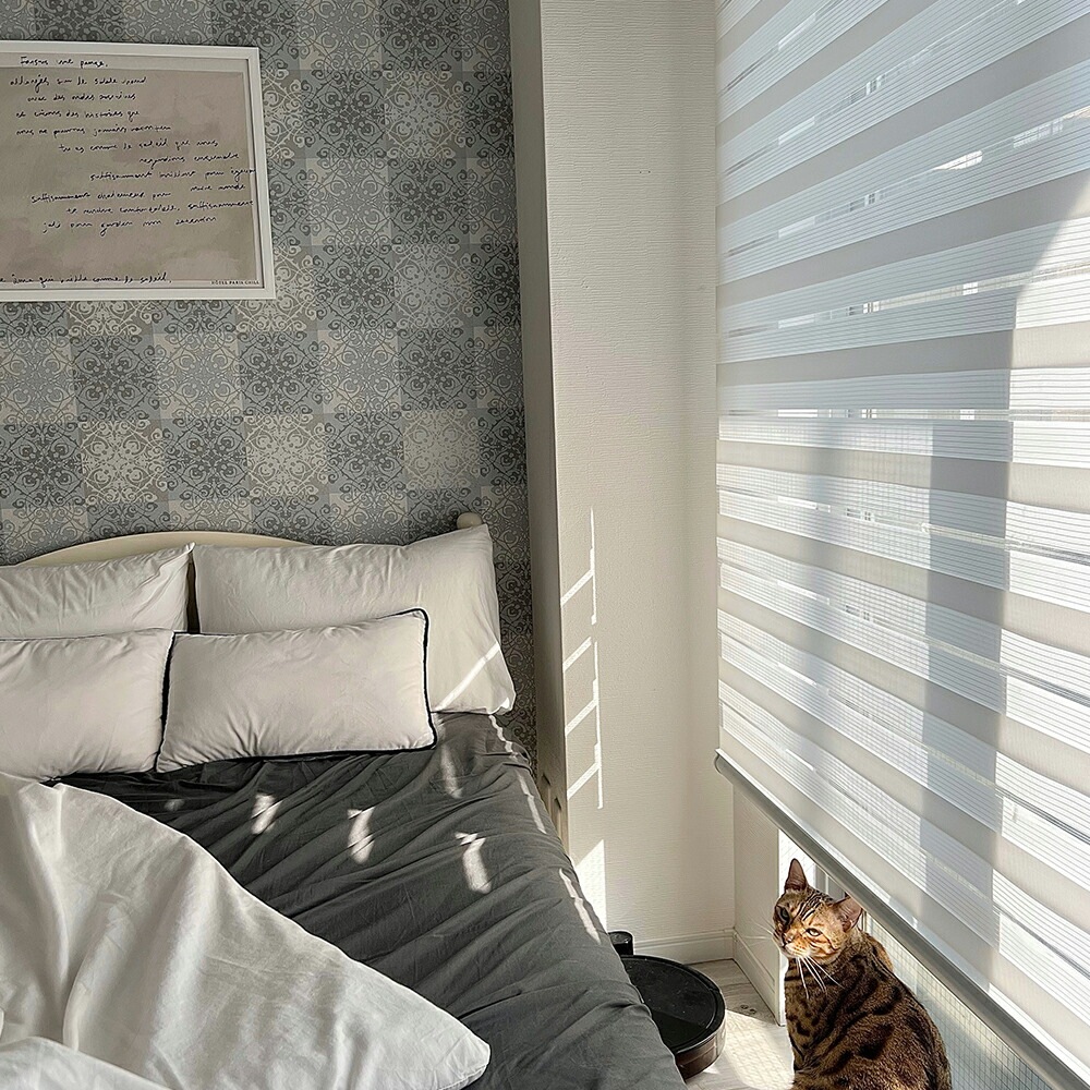 【韓国製】調光 ロールスクリーン カーテン ブラインド ループコード式 天井付け 簡単取付け 賃貸OK (幅130cm~180cm x 丈230cm,選べる5カラー) 【韓国製】調光 ロールスクリーン カーテン ブラインド ループコード式 天井付け 簡単取付け 賃貸OK (幅130cm~180cm x 丈230cm,選べる5カラー)