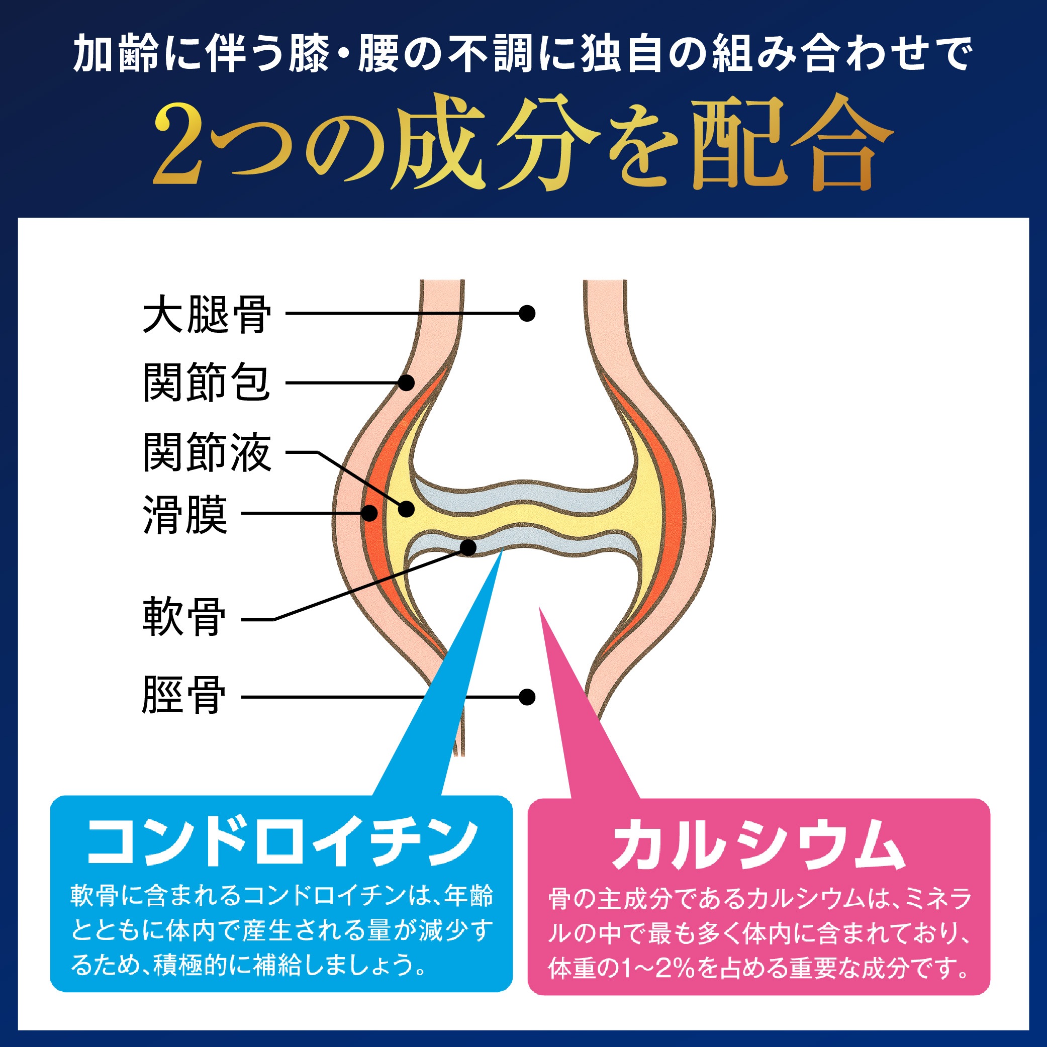 【公式】大正製薬 リポビタンロコモウォーク 50mL 60本 栄養ドリンク 栄養剤 医薬部外品 【公式】大正製薬 リポビタンロコモウォーク 50mL 60本 栄養ドリンク 栄養剤 医薬部外品