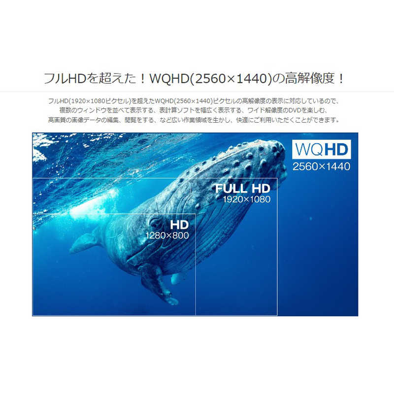 グリーンハウス　27型ワイドゲーミング液晶ディスプレイ ブラック ［27型 /WQHD(2560×1440) /ワイド］　GH-GLCC27WB-BK