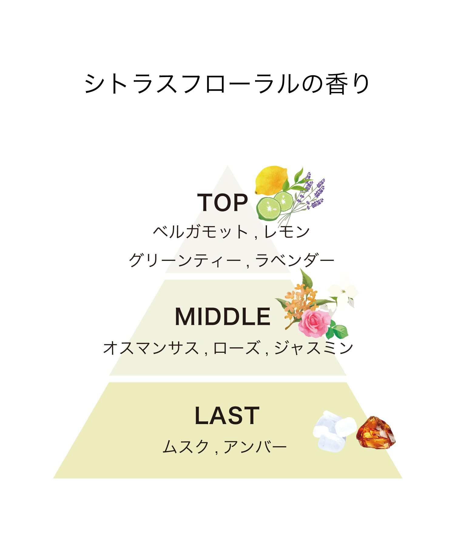 【公式】 track オイル No.3 プッシュタイプ 90ml CITRUS FLORAL 【公式】 track オイル No.3 プッシュタイプ 90ml CITRUS FLORAL