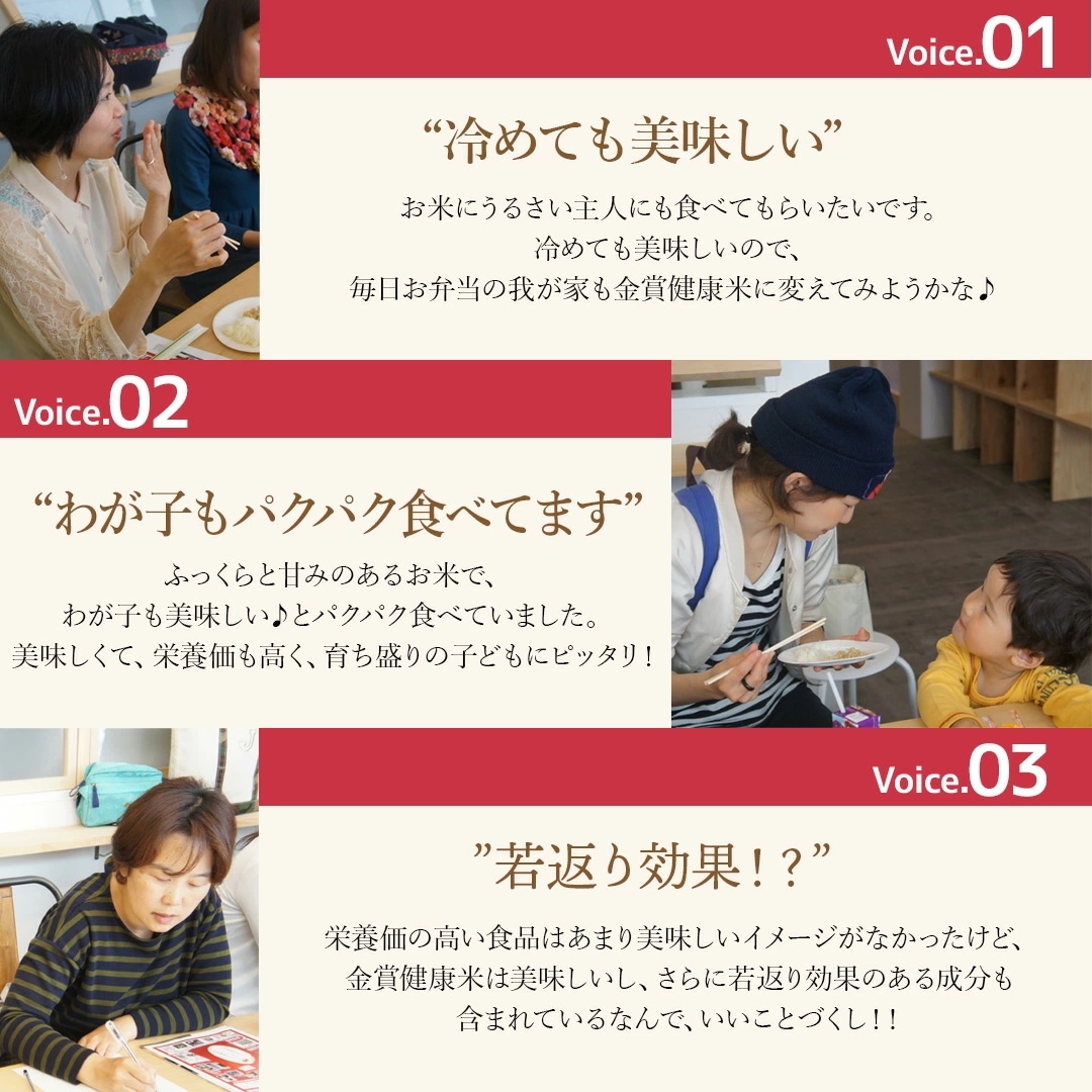 米 北海道産 金賞健康米 ゆめぴりか 5kg 令和6年産 お米 こめ 5キロ 安い おこめ 白米 国産 食品 ギフト 引っ越し 挨拶 内祝い お歳暮 結婚 送料無料 おくさま印