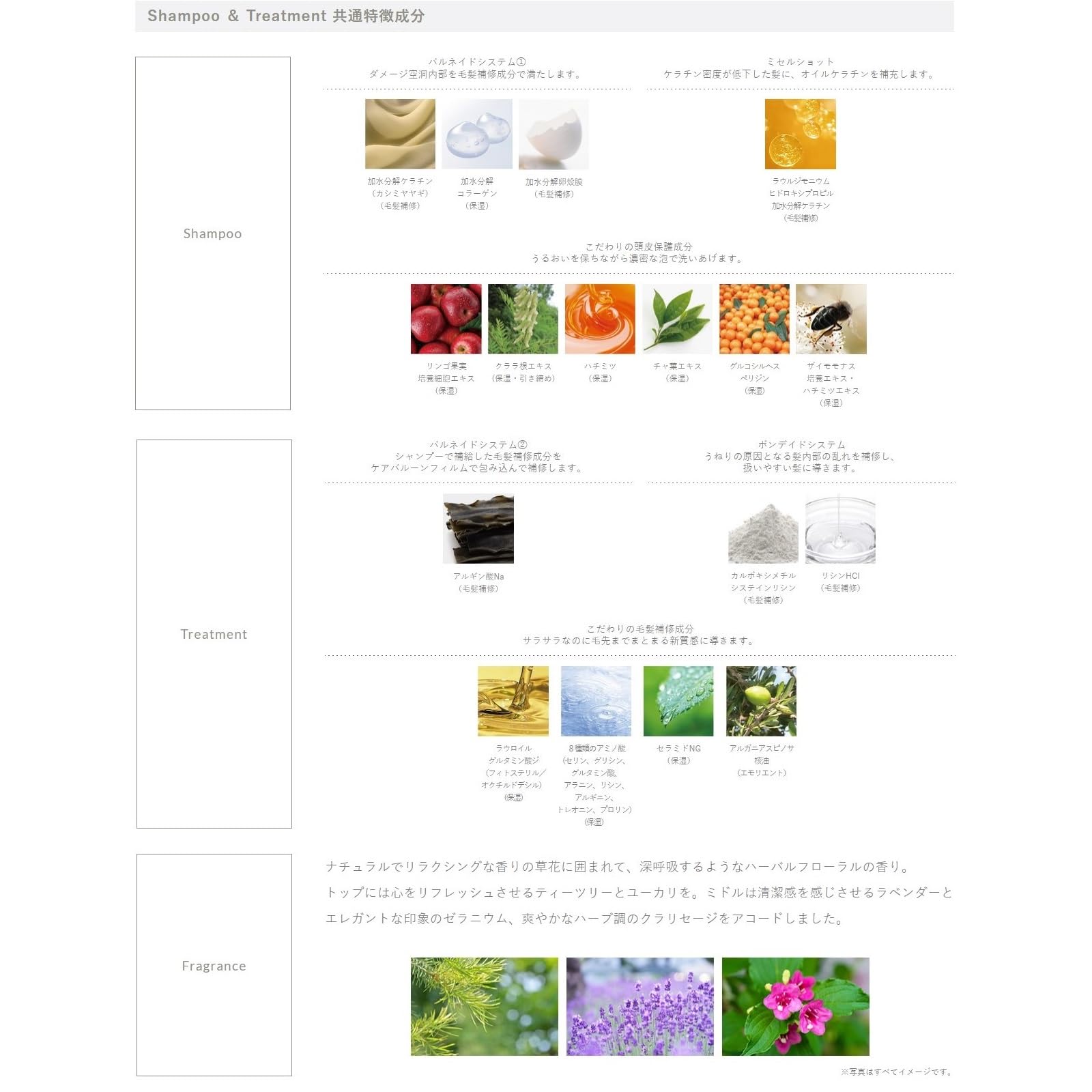 【デミコスメティクス】デミ フローディア ﾄﾘｰﾄﾒﾝﾄ ｸﾞﾗﾝﾒﾛｳ 1000g