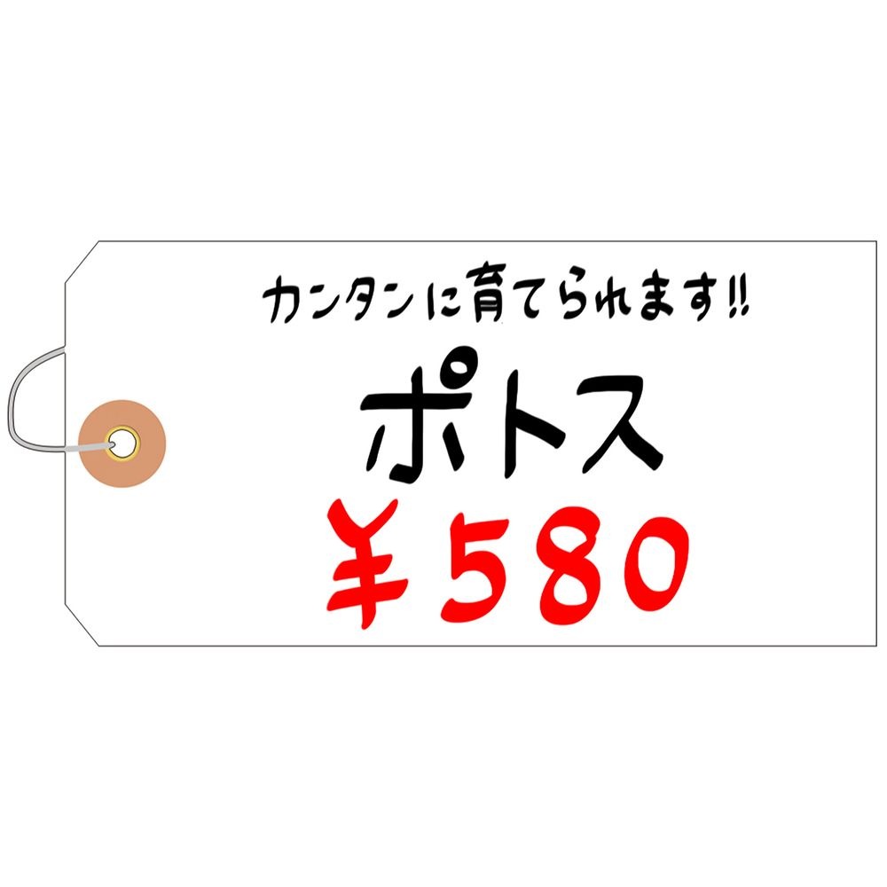 ササガワ 針金付きユポ耐水荷札 大 1000枚入(50枚帯x20束) 25-1230 ササガワ 針金付きユポ耐水荷札 大 1000枚入(50枚帯x20束) 25-1230