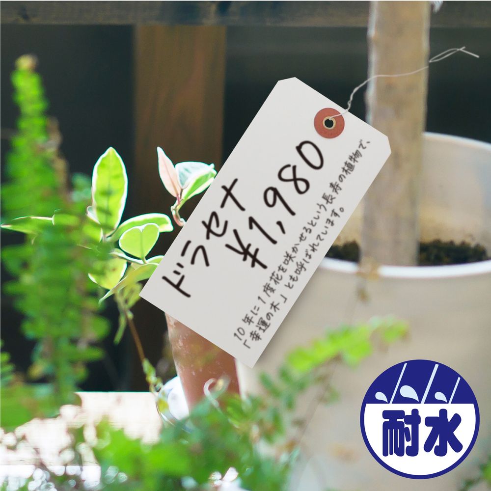 ササガワ 針金付きユポ耐水荷札 大 1000枚入(50枚帯x20束) 25-1230 ササガワ 針金付きユポ耐水荷札 大 1000枚入(50枚帯x20束) 25-1230