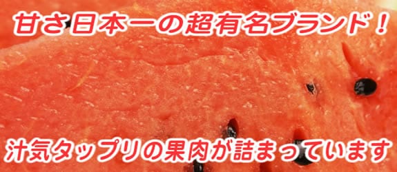 長野/熊本/石川/秋田/山形 大玉西瓜2玉 長野/熊本/石川/秋田/山形 大玉西瓜2玉
