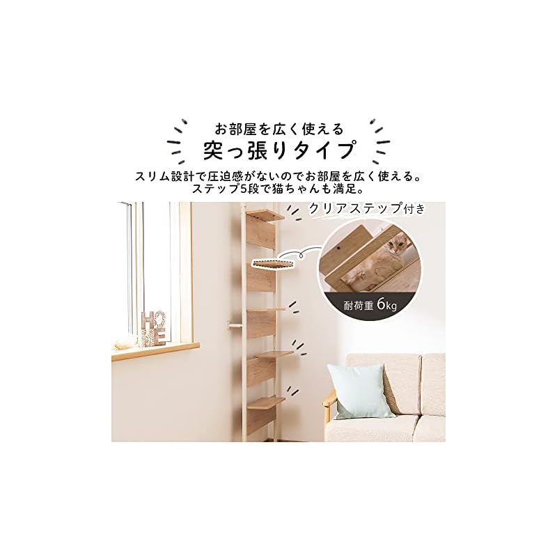 キャットステップ アイリスオーヤマ 覗ける透明板 キャットタワー キャットウォーク 省スペース ライトナチュラル CATS-68/srm