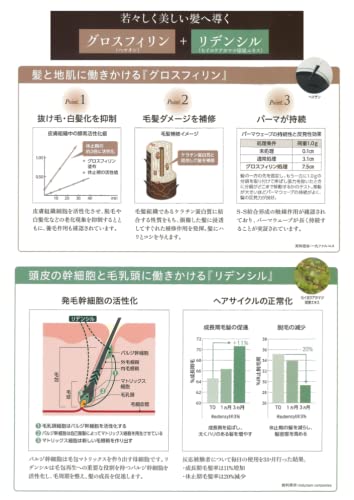 【セット】 パシフィックプロダクツ サローネ スーパーブラウン シャンプー 800ml レフィル& 【セット】 パシフィックプロダクツ サローネ スーパーブラウン シャンプー 800ml レフィル&