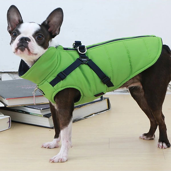 Bownce factory 犬服大処分まとめ売り