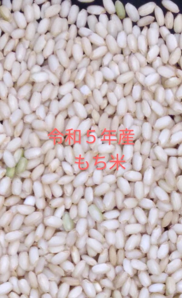 Qoo10] もち米 玄米 ３０kg 令和５年産 新