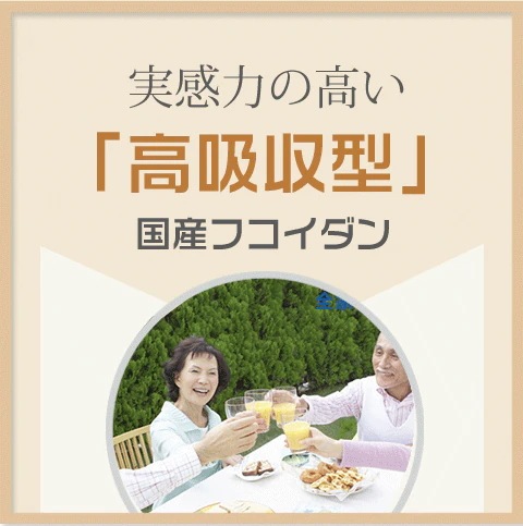 フコイダン 沖縄産もずく100% サプリ お得な3本セット360粒 180日分 長命草 霊芝胞子粉