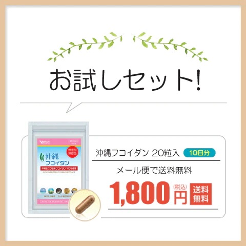 フコイダン 沖縄産もずく100% サプリ お得な3本セット360粒 180日分 長命草 霊芝胞子粉