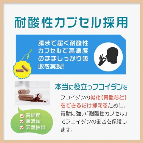 フコイダン 沖縄産もずく100% サプリ お得な3本セット360粒 180日分 長命草 霊芝胞子粉
