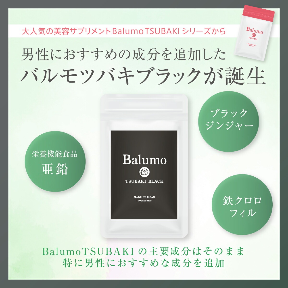 AGAスキンクリニック TSUBAKI BALCK（ツバキブラック） 栄養機能食品 亜鉛 メンズ 美容 サプリ 男性の悩み ブラックジンジャー 鉄 ケラチン 90粒