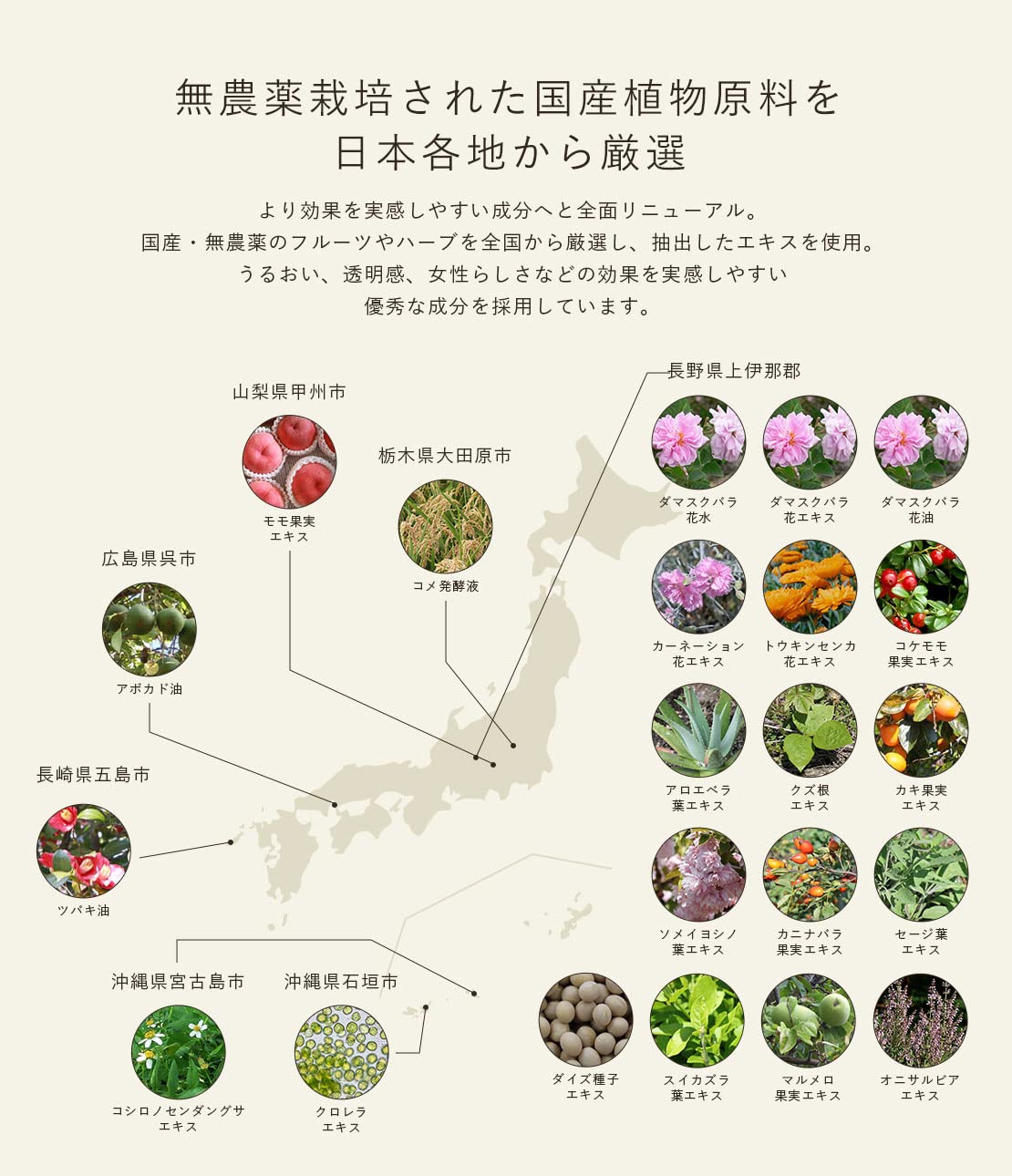 【公式】PEACH JOHN(ピーチ・ジョン) デリケートゾーン デリケートウォッシュ オイル 100ml 【黒ずみ 保湿 オーガニック 日本製 ローズ】 【公式】PEACH JOHN(ピーチ・ジョン) デリケートゾーン デリケートウォッシュ オイル 100ml 【黒ずみ 保湿 オーガニック 日本製 ローズ】