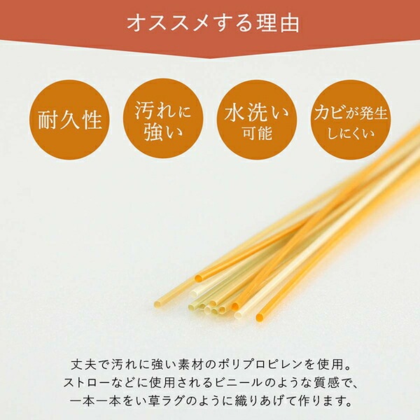 洗える ござ カーペット 本間10畳 約477.5x382cm ベージュ 国産