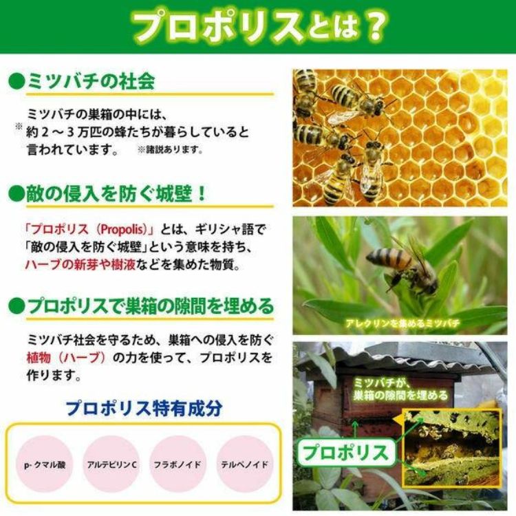 ハーバー研究所 プロフィーラリキッド60 60ml プロポリス 水溶性 液状 ハーバー研究所 プロフィーラリキッド60 60ml プロポリス 水溶性 液状