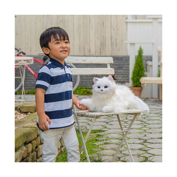 デジレクト しっぽふりふり あまえんぼうねこちゃん アイスグレー dgrt67831