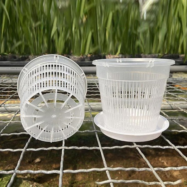 Qoo10] プラスチック 透明 植木鉢 5鉢セット