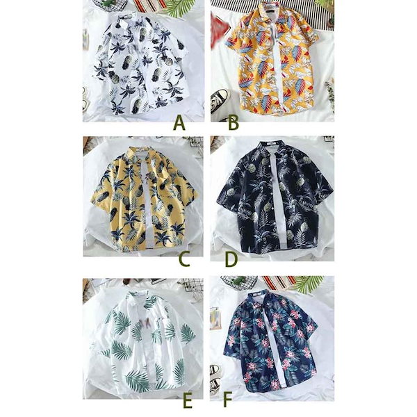 Qoo10] 半袖 夏物 オープンカラー レディース