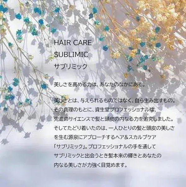 Qoo10] 資生堂プロフェッショナル 【正規品】 資生堂 サブリミック サロン