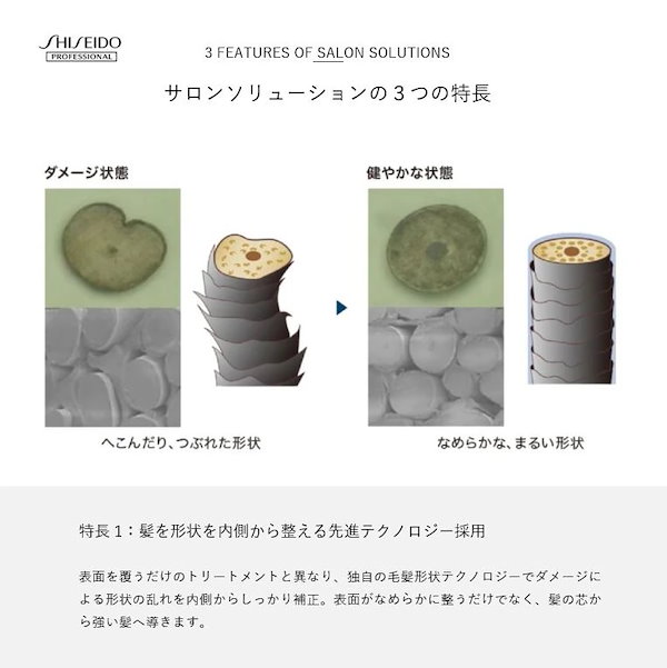 Qoo10] 資生堂プロフェッショナル 【正規品】 資生堂 サブリミック サロン