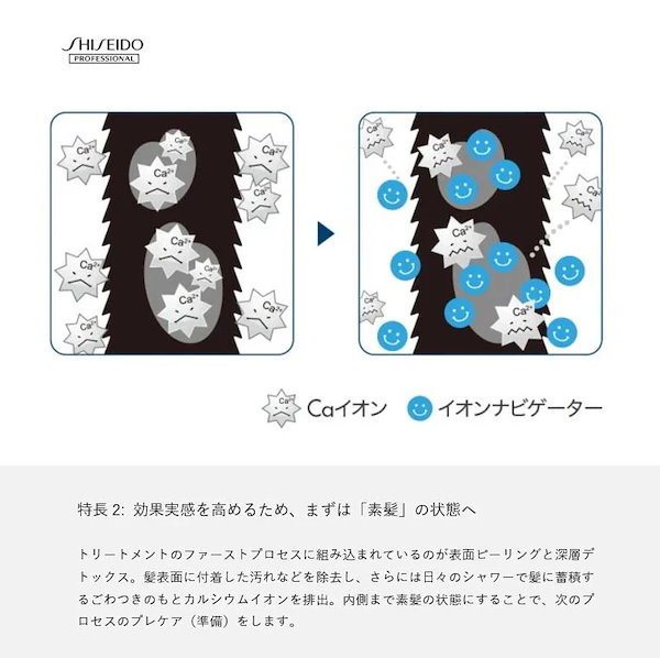 Qoo10] 資生堂プロフェッショナル 【正規品】 資生堂 サブリミック サロン