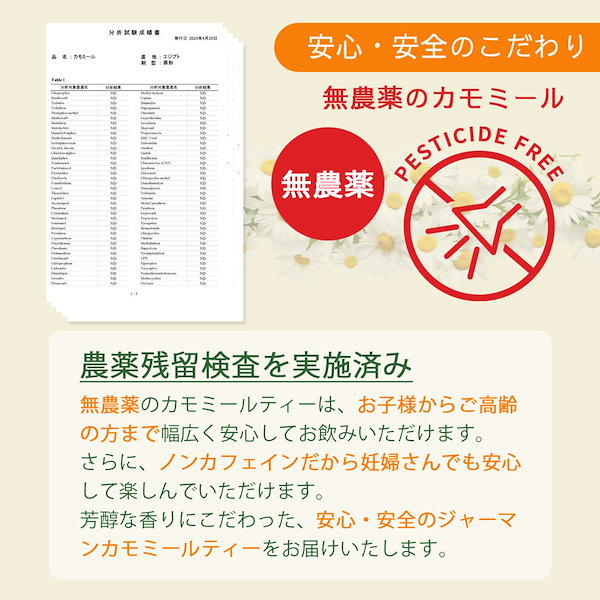 シャギーキャミソール レディース メール便不可 – coca公式ストア