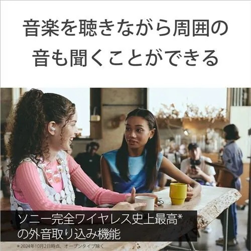 ソニー WF-LS910N BZ ワイヤレスノイズキャンセリングイヤホン LinkBuds Fit ブラック