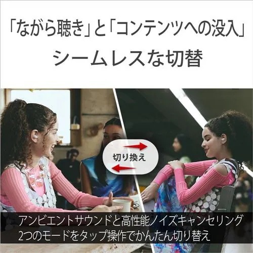 ソニー WF-LS910N BZ ワイヤレスノイズキャンセリングイヤホン LinkBuds Fit ブラック