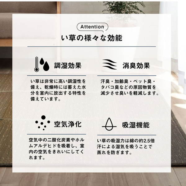 ラグ 小林製薬 持続性抗菌剤 KOBA-GUARD 制菌 滑り止め 不織布 夏 い草 ブラウン 約1