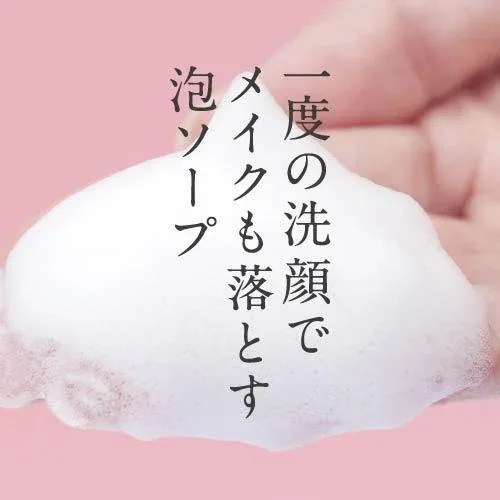 [正規販売店] 泡タイプ洗顔料 クレンジングソープ泡 ピールケア 詰め替え用 500mL 2個セット + ハイドロキノン配合 ミニ洗顔石けん 付き クレンジング 敏感肌 メイク落とし 洗顔料