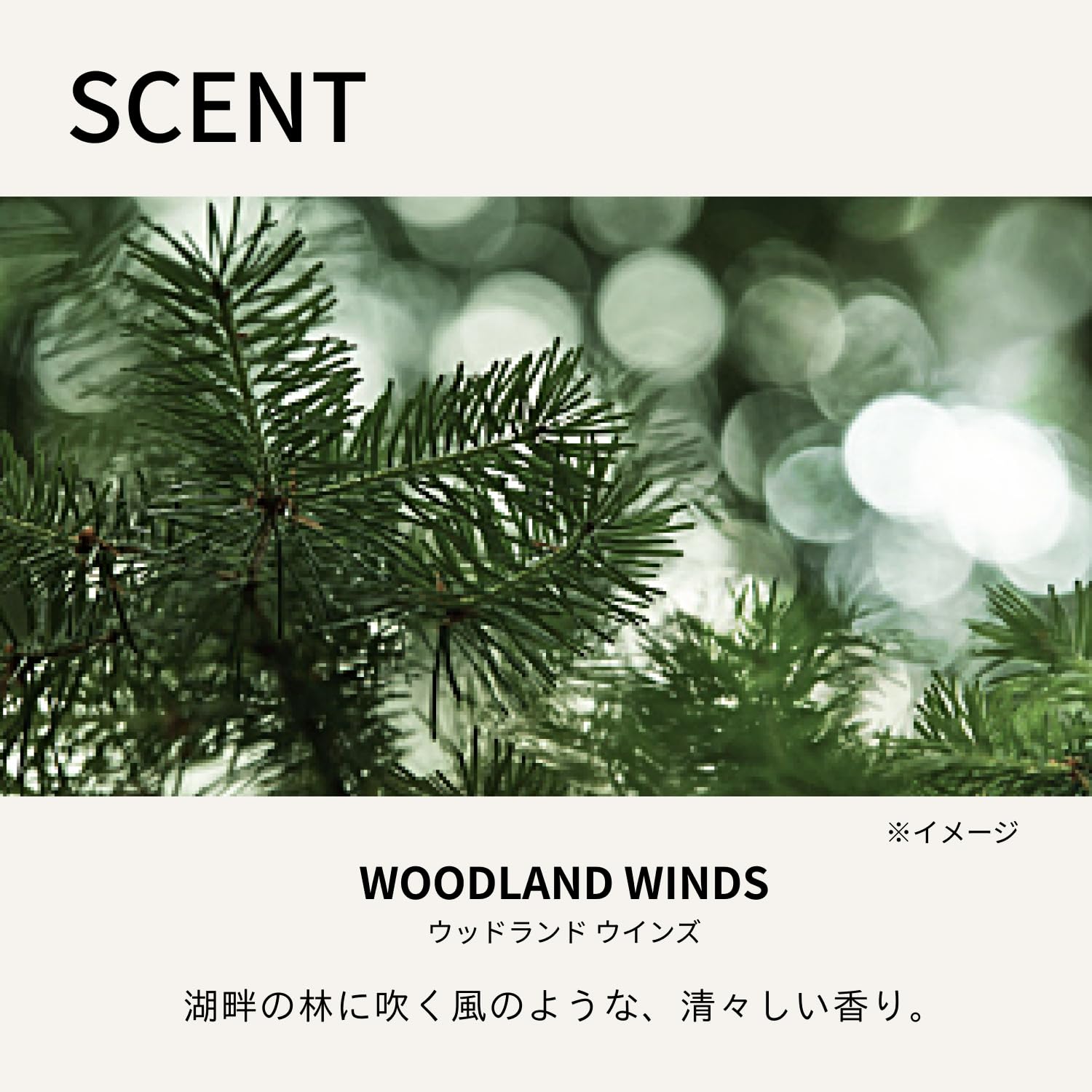 Baum(バウム) フェイスウォッシュ ジェル 180mL 洗顔 WOODLAND WINDS の香り スキンケア 保湿 素肌 森林浴 ユニセックス ギフト プレゼント 誕生日 オーガニック 樹木 Baum(バウム) フェイスウォッシュ ジェル 180mL 洗顔 WOODLAND WINDS の香り スキンケア 保湿 素肌 森林浴 ユニセックス ギフト プレゼント 誕生日 オーガニック 樹木
