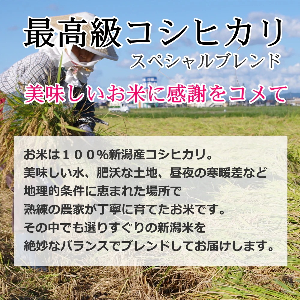 お祝い 新潟産コシヒカリ 1キロ + ギフト券 3枚 セット お祝い返し 半返し お祝い 新潟産コシヒカリ 1キロ + ギフト券 3枚 セット お祝い返し 半返し