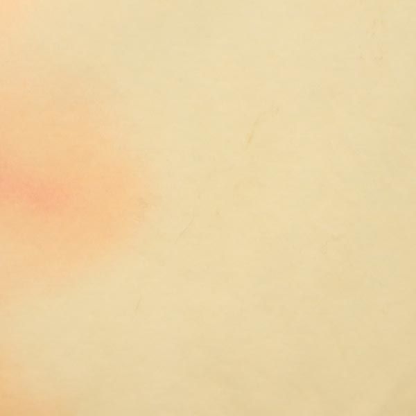 ジバンシーゴルフ 日本製 ゴルフ 半袖 ポロシャツ ベージュ系 GIVENCHY GOLF レディース