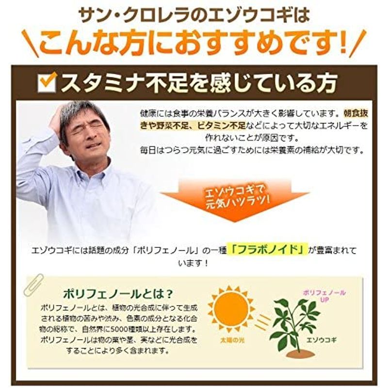 サンクロレラ N : 健康食品・サプリ 主成分 エゾウコギ 国産限定品