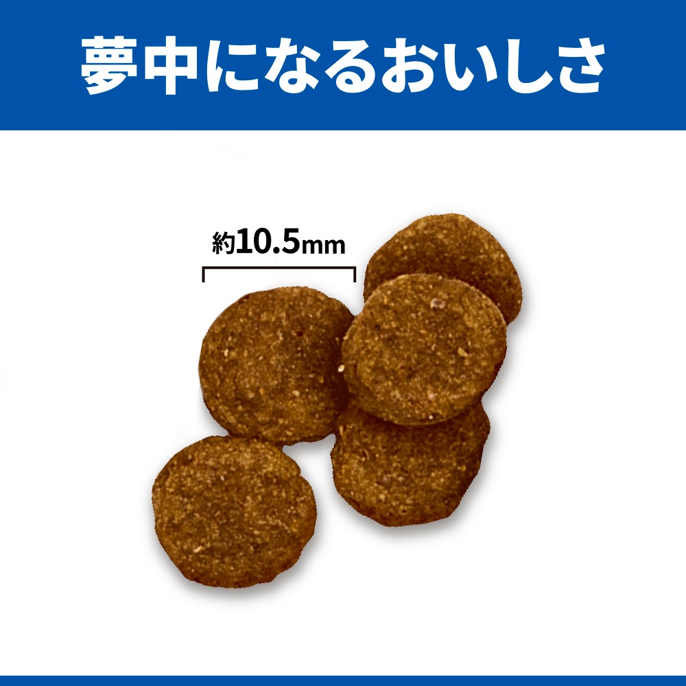 サイエンスダイエット アダルト ラム＆ライス 小粒 成犬用 1歳以上 6.5kg