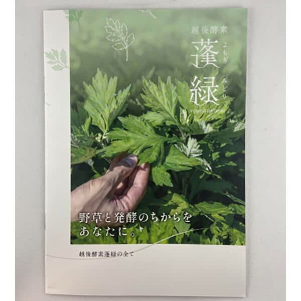 Qoo10] 越後酵素 蓬緑(よもぎみどり) パウチタ