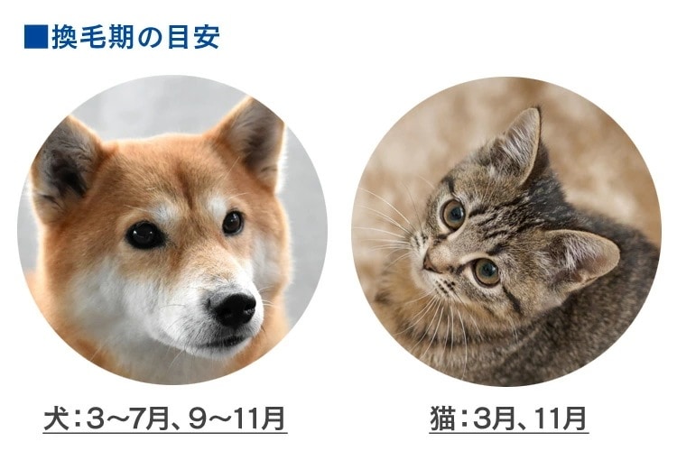 【公式】 空気清浄機 花粉 花粉対策 空気清浄機 コンパクト 14畳 ホコリセンサー付 PM2.5対策 カビ PMAC-100-S メガ割[安心延長保証対象]