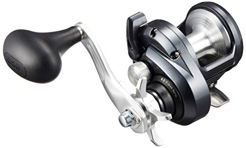 シマノ Shimano アウトドア ベイトリール 好評国産 Www Portdakar Sn