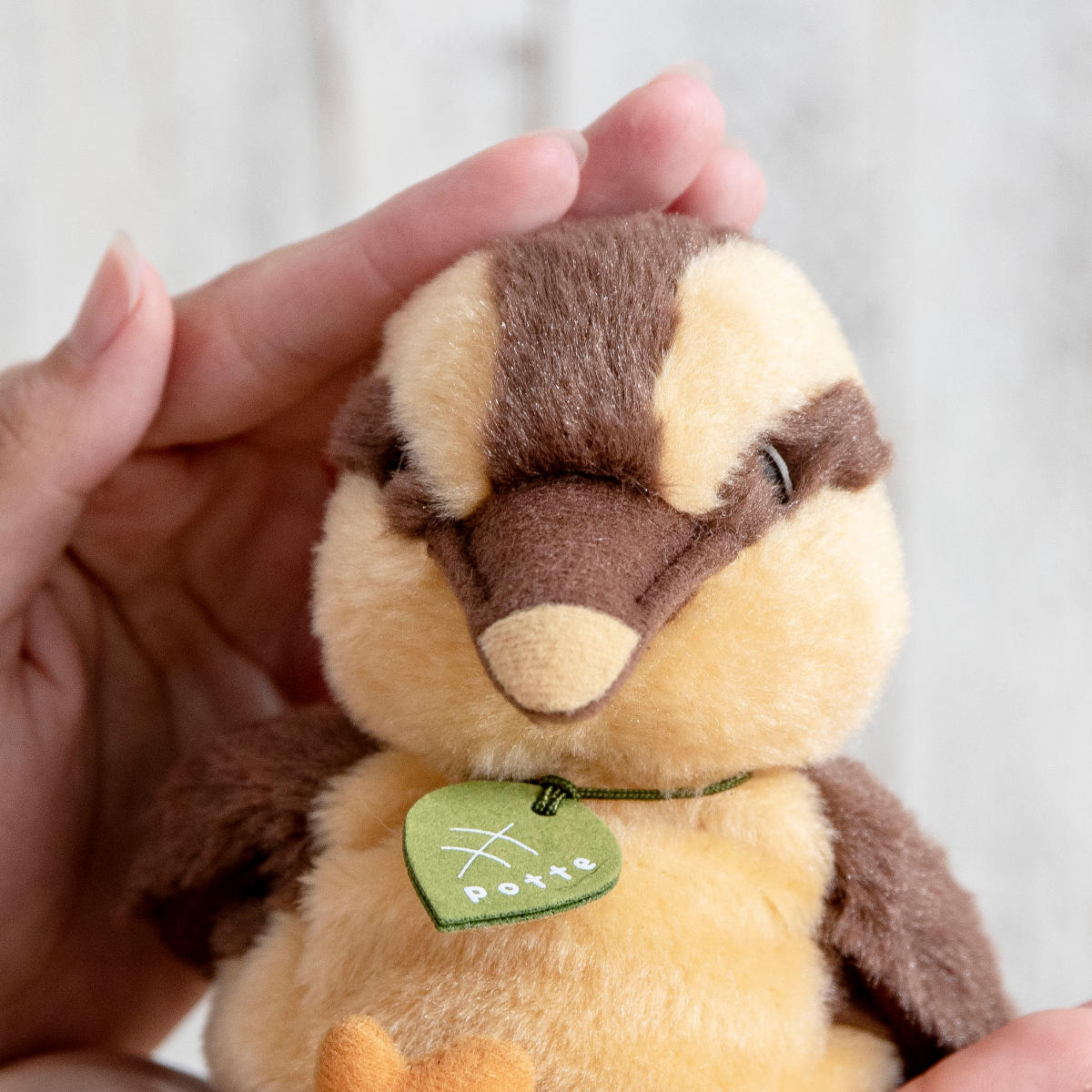 Qoo10] ぬいぐるみ potte カモのひな ヌイ