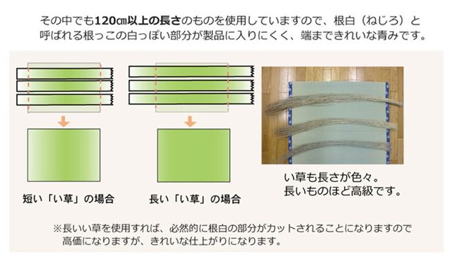 い草カーペット ラグ マット 六一間 4.5畳 約277x277cm 夏用 ござ 畳の上敷 畳の上に敷くもの 国産 い草カーペット ラグ マット 六一間 4.5畳 約277x277cm 夏用 ござ 畳の上敷 畳の上に敷くもの 国産