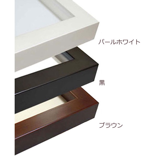 ( 長方形額 ) 横長額 600×300mm 黒 厚みのある作品収納可納 厚み19mmまで 縦横兼用 額 額縁 フレーム ( 長方形額 ) 横長額 600×300mm 黒 厚みのある作品収納可納 厚み19mmまで 縦横兼用 額 額縁 フレーム