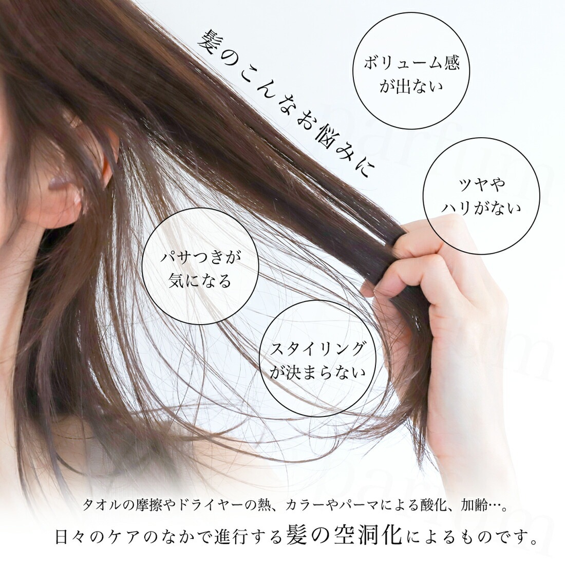 公認店 ミラブル Mirable ミラブルのために生まれたシャンプー 400ml パラベンフリー 保湿 保湿成分 潤い補給 つや ハリコシ ボリューム感 ヘアシャンプー ヘアケア 送料無料 公認店 ミラブル Mirable ミラブルのために生まれたシャンプー 400ml パラベンフリー 保湿 保湿成分 潤い補給 つや ハリコシ ボリューム感 ヘアシャンプー ヘアケア 送料無料