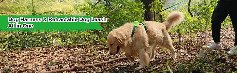 Atuban-犬用の格納式ハーネス,1つまたは2つのリーシュと1つの自動ロック付きの調節可能なウォーキング犬用ハーネス Atuban-犬用の格納式ハーネス,1つまたは2つのリーシュと1つの自動ロック付きの調節可能なウォーキング犬用ハーネス