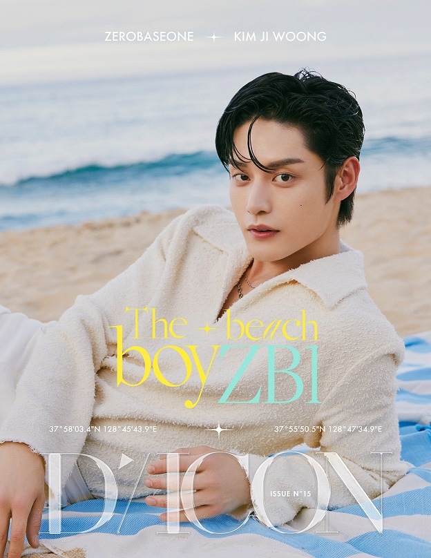 （３冊セット）DICON VOLUME N15 ZEROBASEONE : The beach boyZB1 ゼロバセゾン