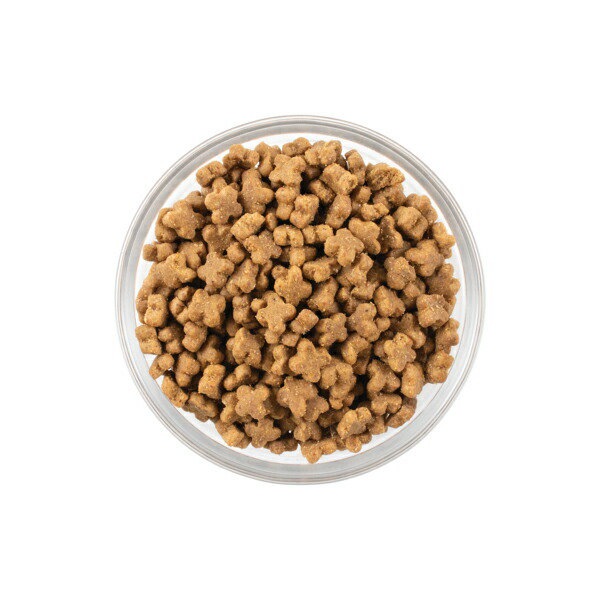 NOW FRESH グレインフリー ドッグフード小型犬用　フィッシュ9.98kg NOW FRESH グレインフリー ドッグフード小型犬用 フィッシュ9.98