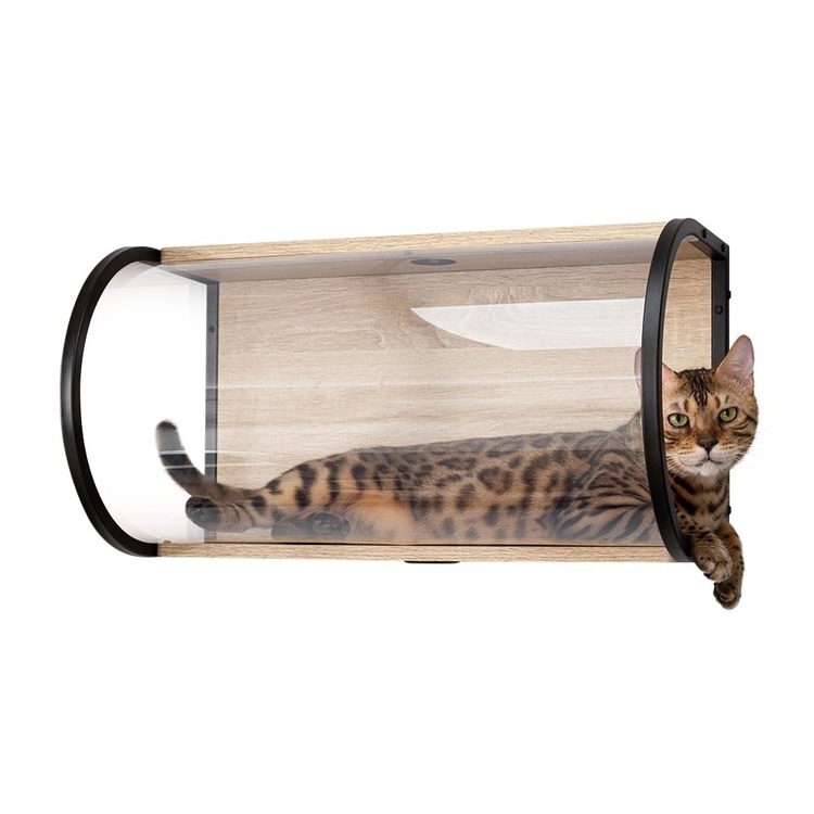 Qoo10] 【人気商品】キャットウォーク キャットス