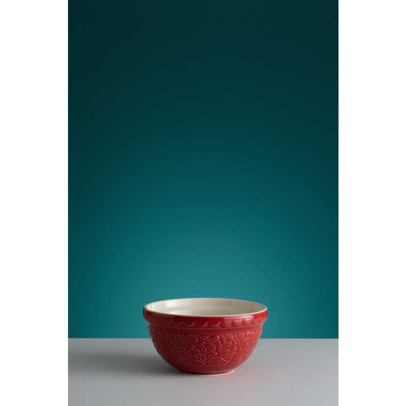 RAYWARE Mason Cash ミキシングボウル インザフォレスト レッド ハリネズミ 21cm 27186 RAYWARE Mason Cash ミキシングボウル インザフォレスト レッド ハリネズミ 21cm 27186