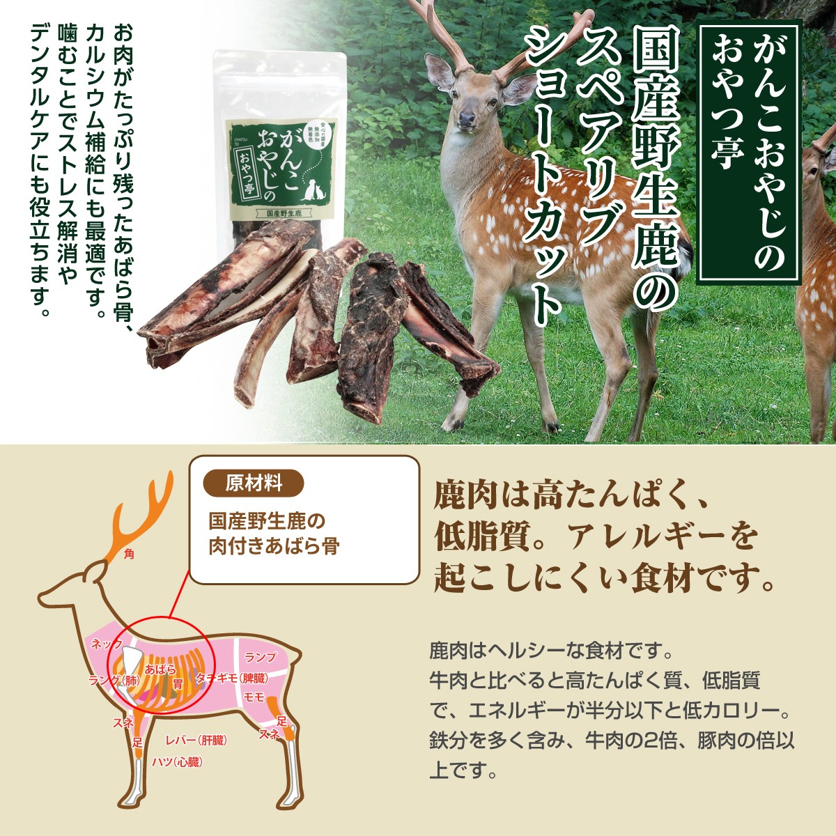 ごはんオールステージ 5kg【国産鹿のスペアリブ ショートカット 2本入り付き】 ごはんオールステージ 5kg【国産鹿のスペアリブ ショートカット 2本入り付き】